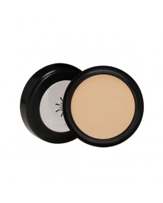 THE STYLE PERFECT CONCEALER