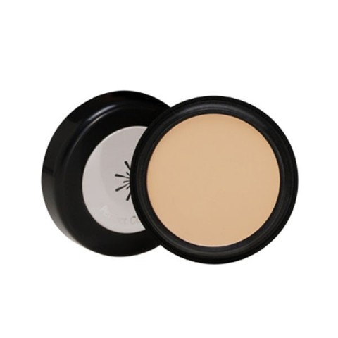 THE STYLE PERFECT CONCEALER