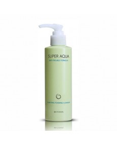 SUPER AQUA ANTI-TROUBLE FORMULA PURIFYING FOAMING CLEANSER