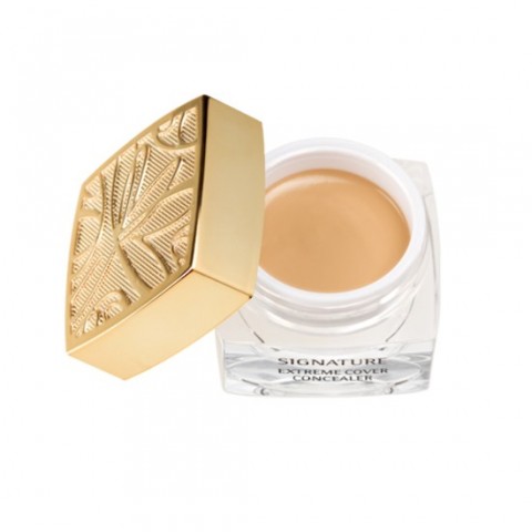 SIGNATURE EXTREME COVER CONCEALER SPF30PA++